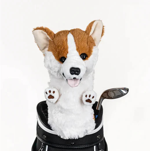 HeadCover Daphne Corgi