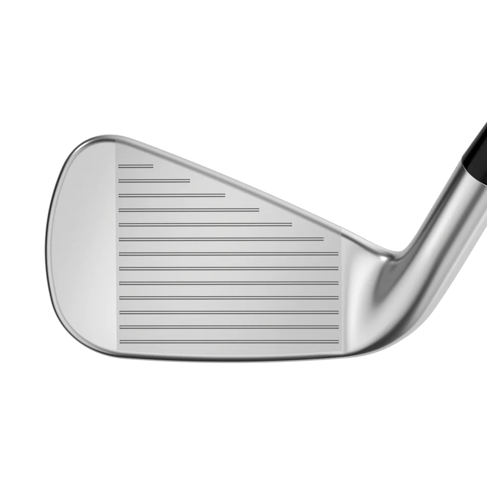 Fierro Individual Callaway Big Bertha B21